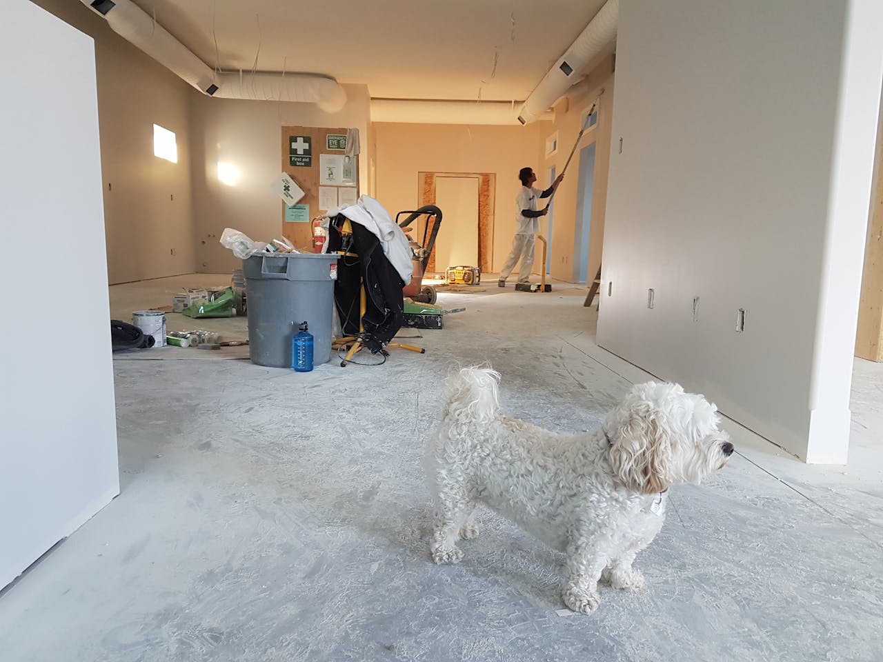 cleaning